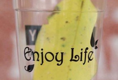 Chuyên In Tem Nhãn Số Lượng Ít Giá Rẻ Tại Hoa Đăng