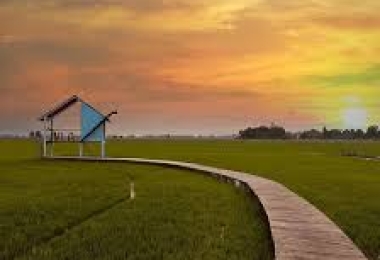 Du khách Tây thích thú với mô hình cà phê kiểu đồng quê Việt Nam, nhìn các "nhân viên đặc biệt" lại càng mê hơn