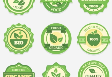 Bao Bì Hoa Đăng - Địa chỉ in tem nhãn đẹp, giao hàng nhanh