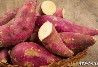 5 loại thực phẩm tuyệt đối không được ăn cùng khoai lang vì có thể gây viêm loét dạ dày, ngộ độc mãn