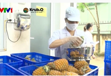  Krub.O – nguyên liệu trà sữa và cà phê phù hợp xu hướng thị trường