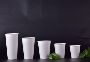 Cách chọn ly giấy nhiều dung tích phù hợp với nhu cầu sử dụng