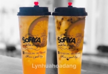 Ly nhựa in logo theo yêu cầu: Sáng tạo theo phong cách riêng của bạn