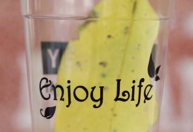 Làm sao để chọn ly nhựa sinh tố phù hợp cho quán của bạn?