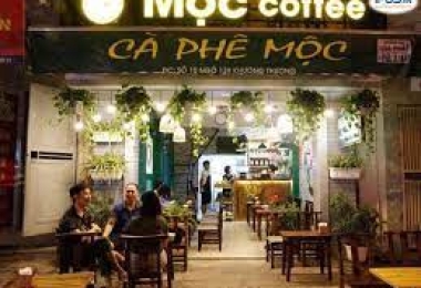 Ngồi xuyên đêm ở quán cà phê