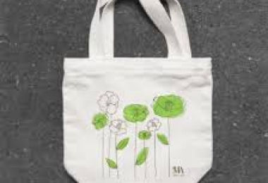 Khủng hoảng thừa túi vải