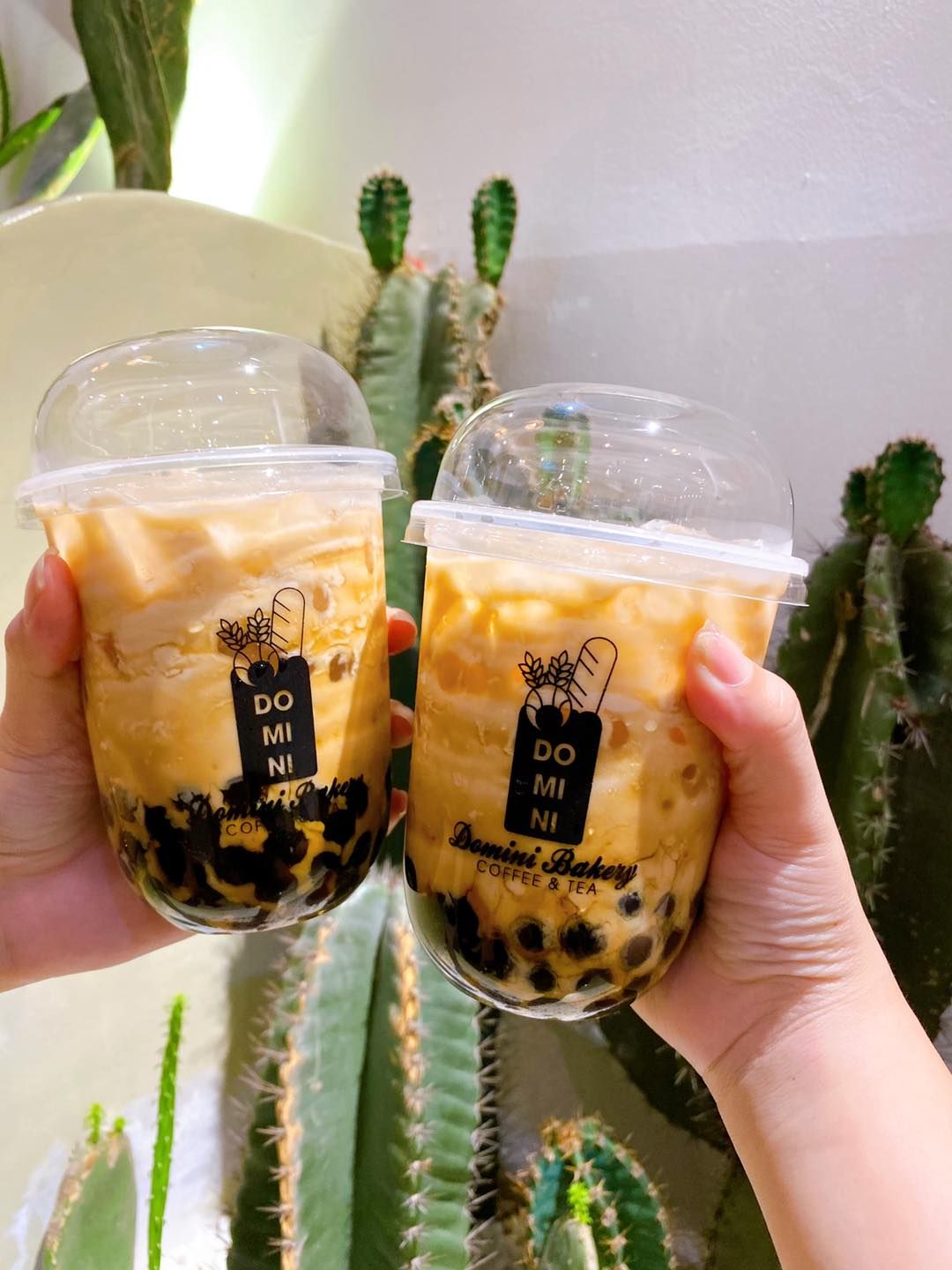 ly nhựa PP đáy bầu