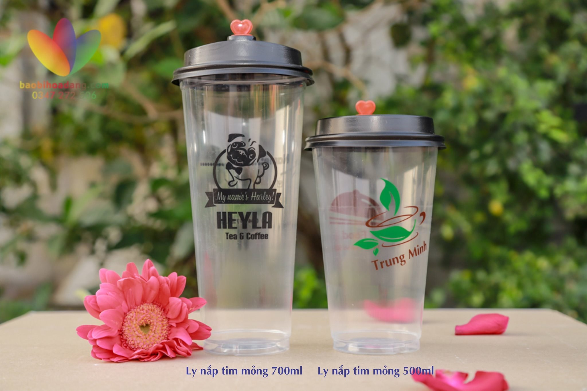 ly nhựa cafe